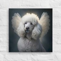 Toy Poodle angel