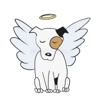 angel-dog-vector-illustration-57877236